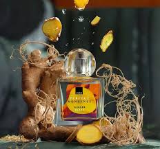 Парфюмерная вода Ginger Blaze. 50мл. - аромат унисекс